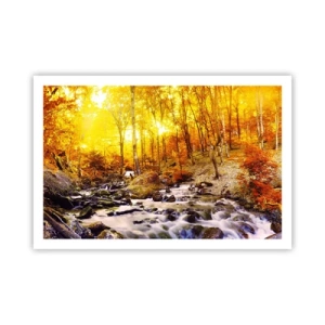 Poster - Pietre montate în aur și platină - 91x61 cm