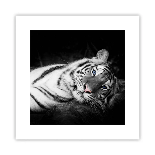 Poster - Sălbăticie și pace - 30x30 cm