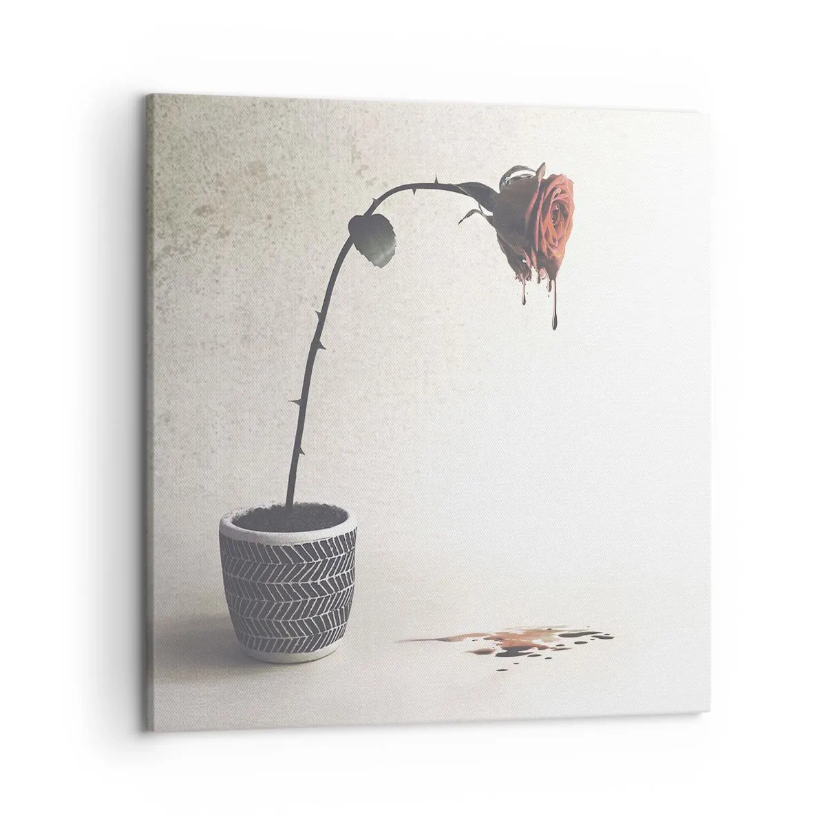 Tablou pe pânză - Rosa dolorosa - 50x50 cm