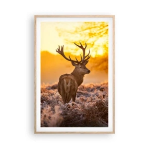 Poster în ramă de stejar deschis - Regele pădurii de toamnă - 61x91 cm