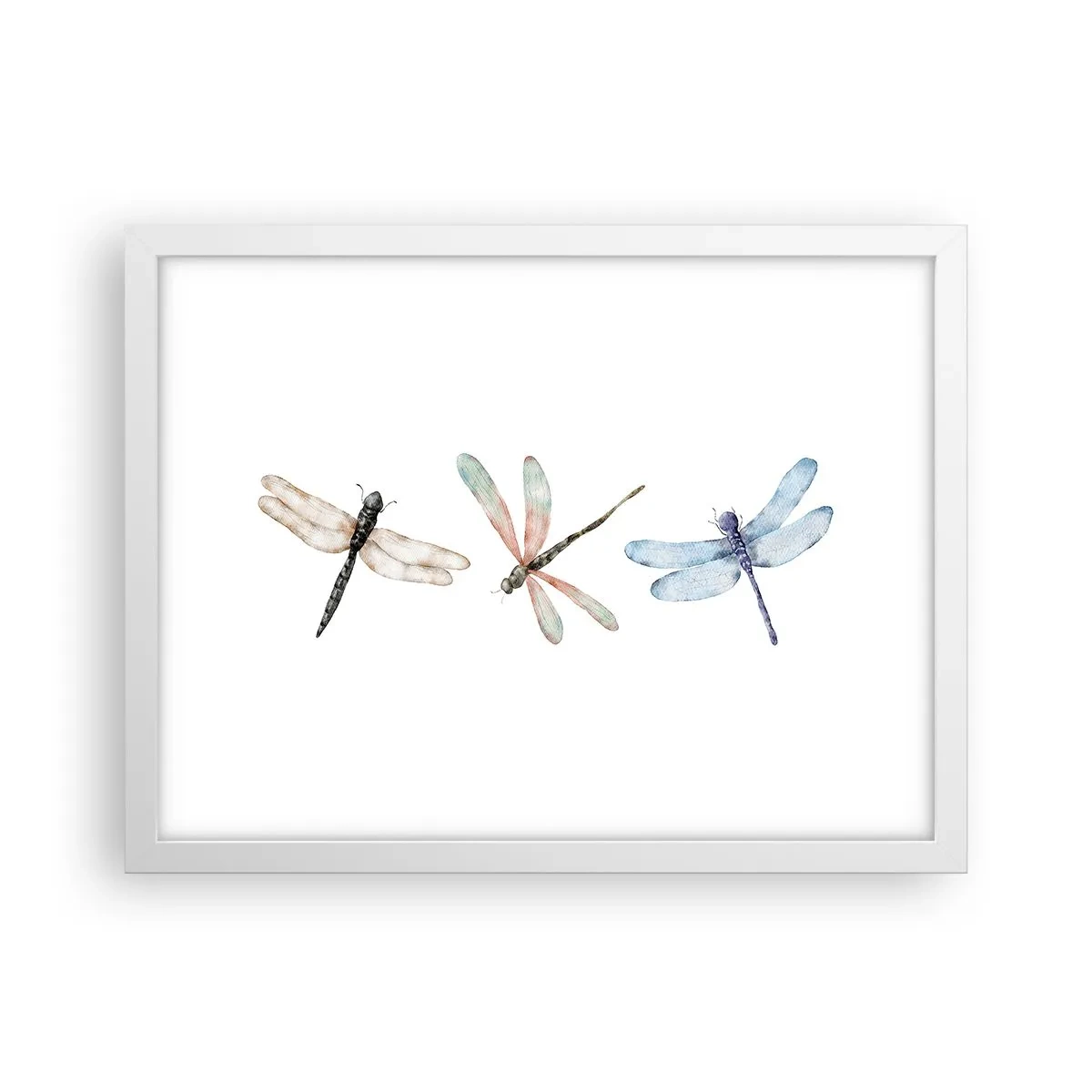 Poster în ramă albă - Libelule imponderabile - 40x30 cm