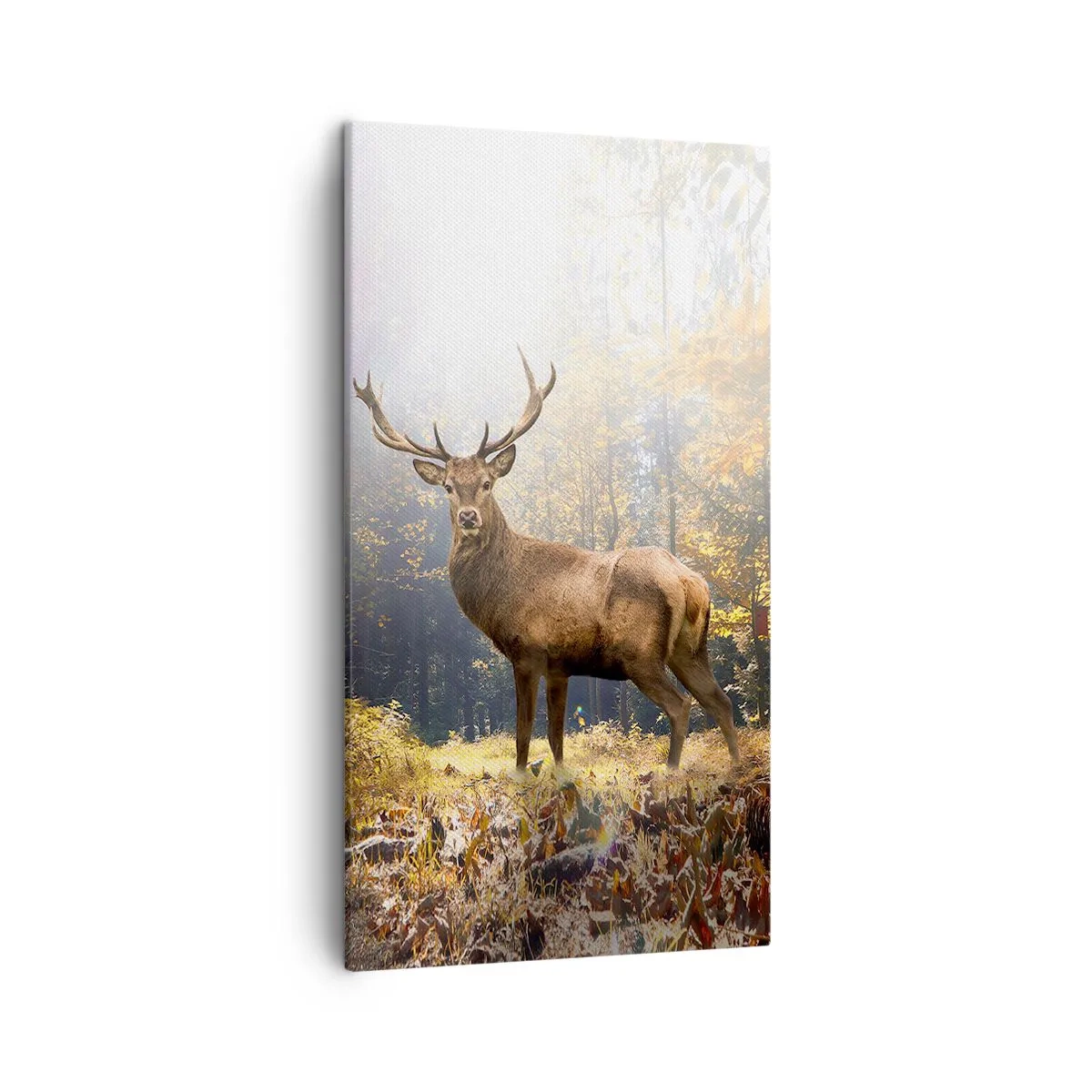 Tablou pe pânză - Măreție calmă - 45x80 cm