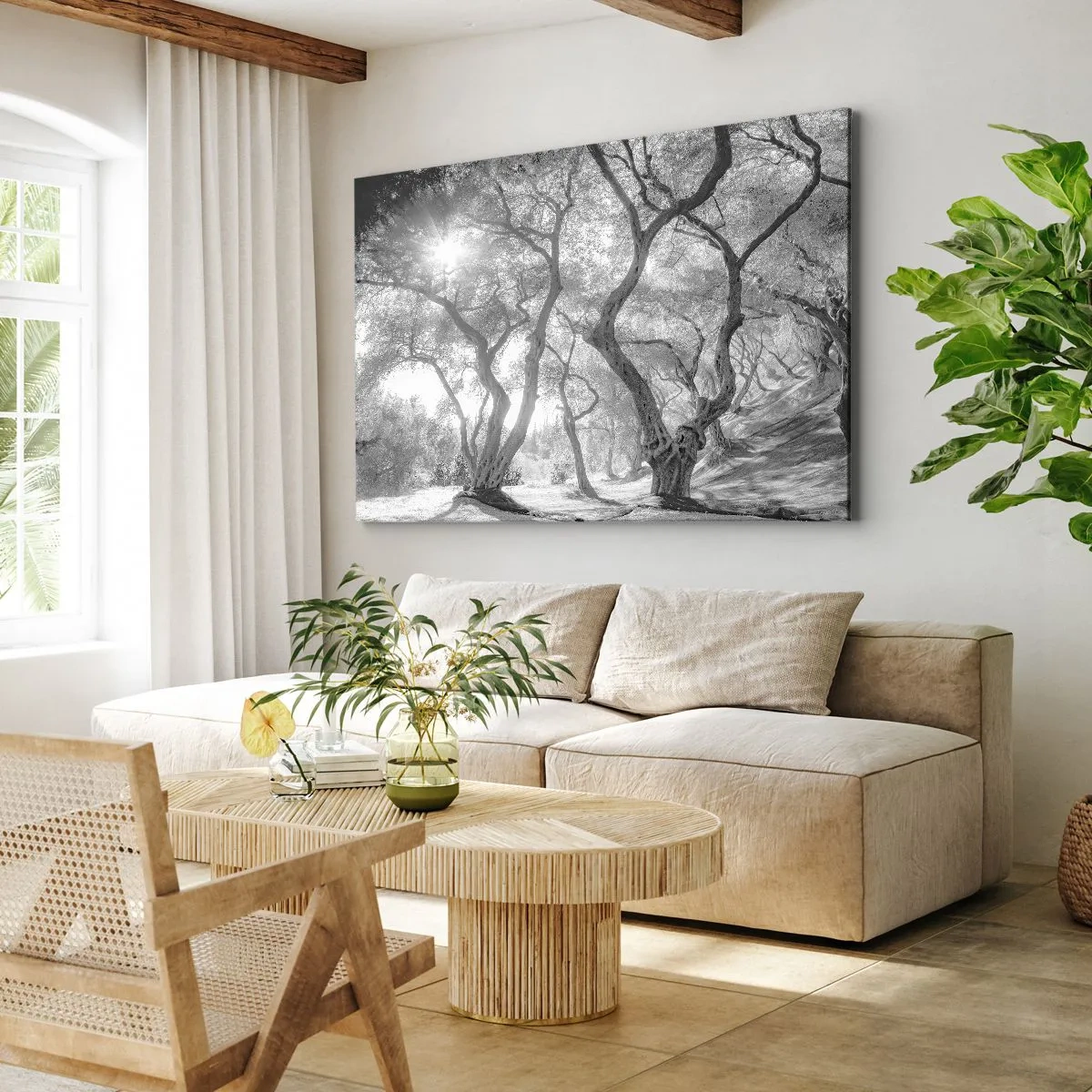Tablou pe pânză Canvas - Vedere alb-negru a copacilor dintr-o livadă de măslini cu raze de soare - 70x50cm - Într-o livadă de măslini - Decorațiune modernă pentru perete pentru living și dormitor ARTTOR