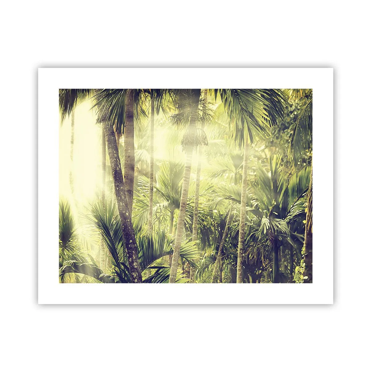 Poster - Ardoare verde - 50x40 cm