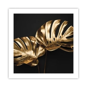 Poster - Comorile naturii - 50x50 cm