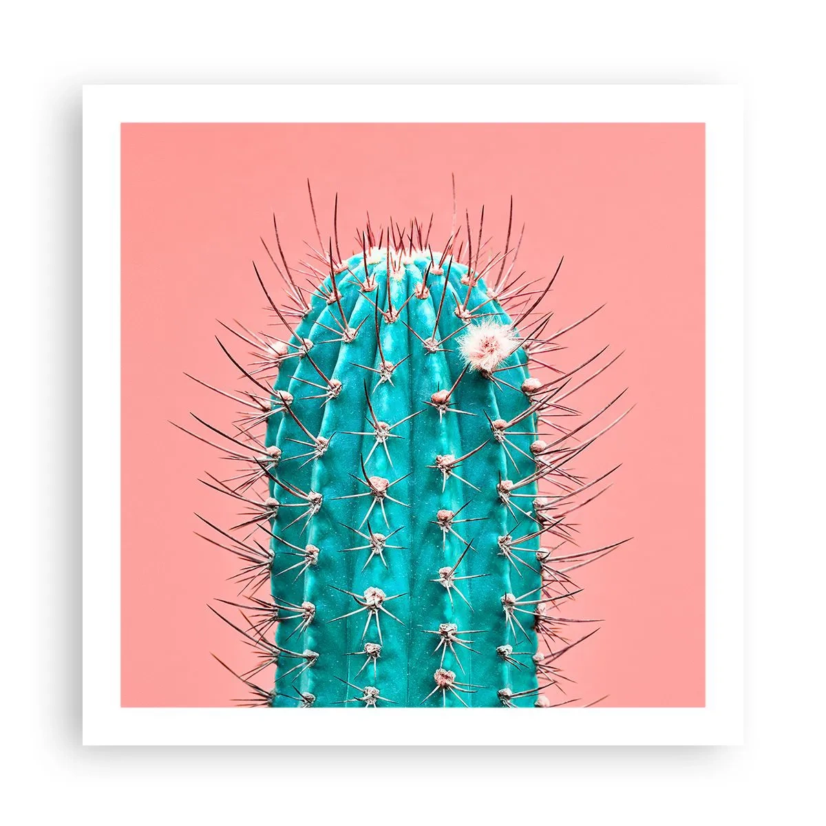 Poster - Doar privește - 60x60 cm