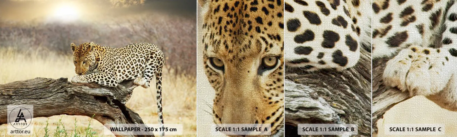 Mostră tapet Premium Canvas - Mă duc pe drumul meu - Animale, leopard, Africa - 100x30 cm