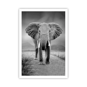 Poster - Gazda te salută - 70x100 cm