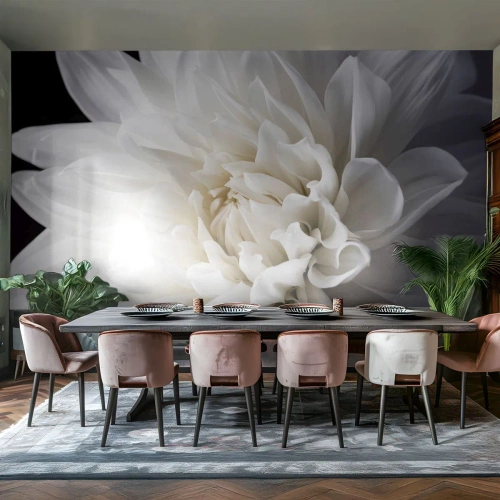 Tapet Standard Eco - Dimineața miresei - Floare, Dalie, Natură - 350x256 cm