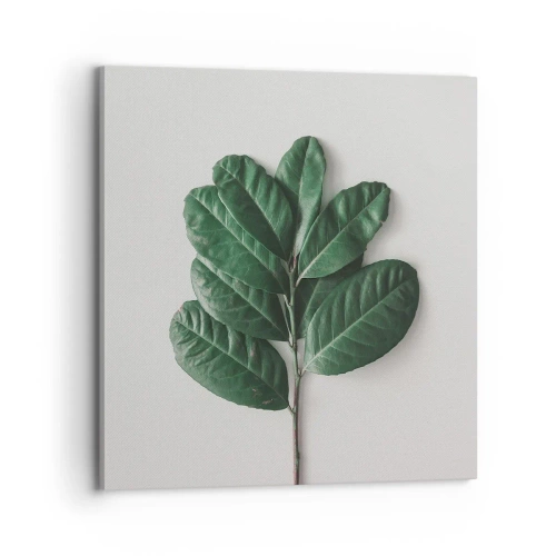 Tablou pe pânză - Desenul naturii însăși - 70x70 cm