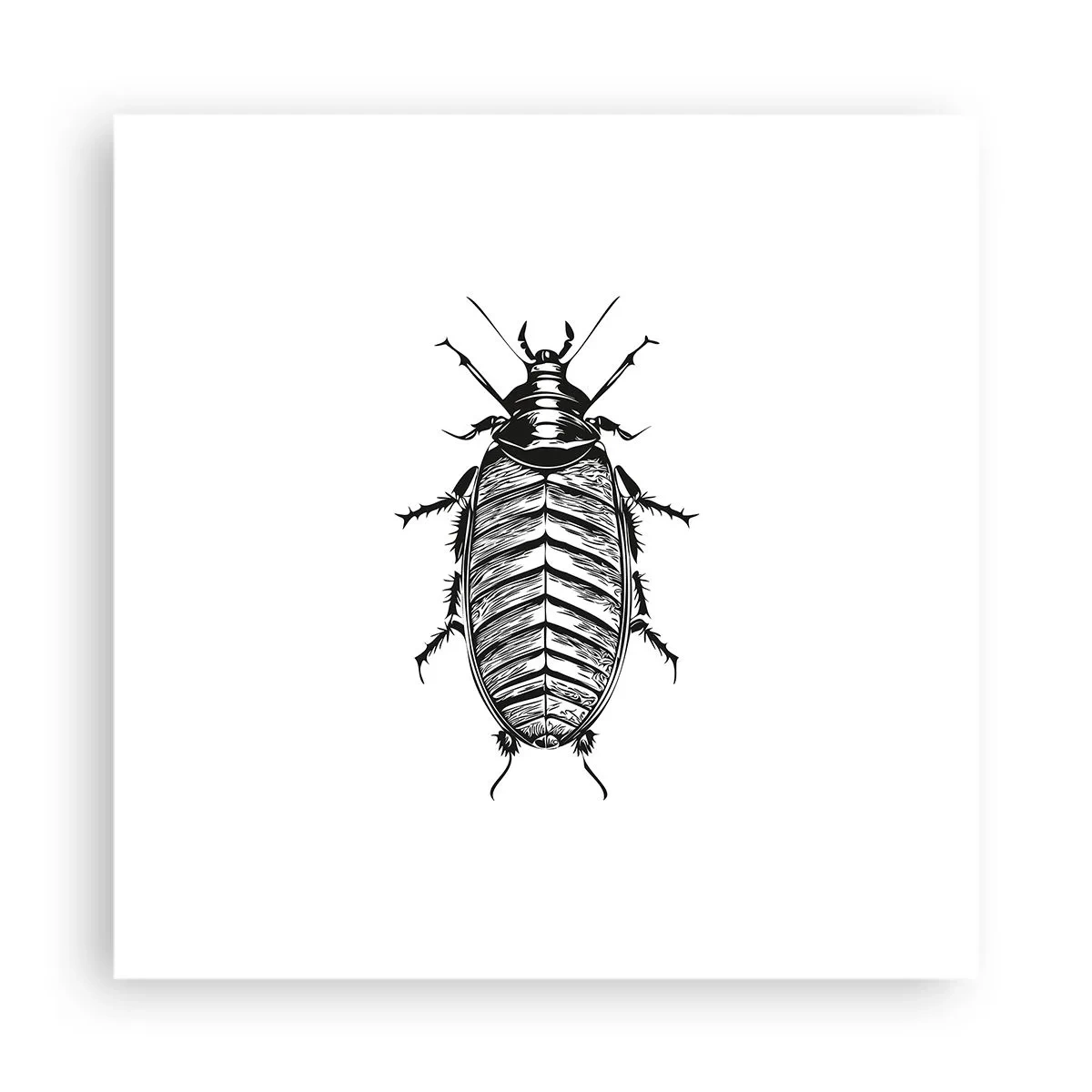 Poster - Ce specimen! - 40x40 cm