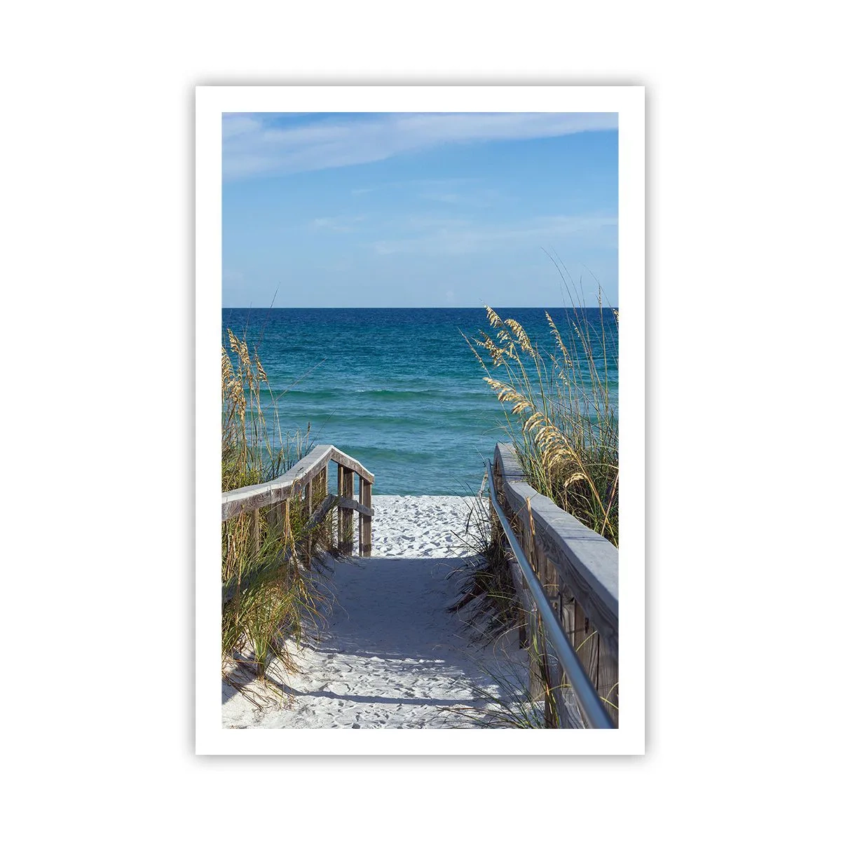 Poster - În soare, în vânt - 61x91 cm