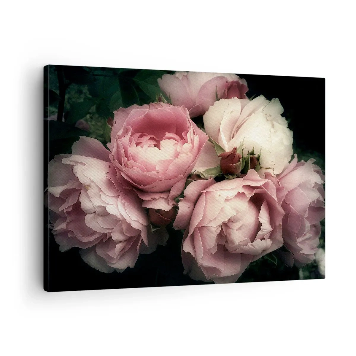 Tablou pe pânză Canvas - Un buchet de trandafiri în nuanțe delicate de roz și alb - 70x50cm - Farmecul belle epoque - Decorațiune modernă pentru perete pentru living și dormitor ARTTOR