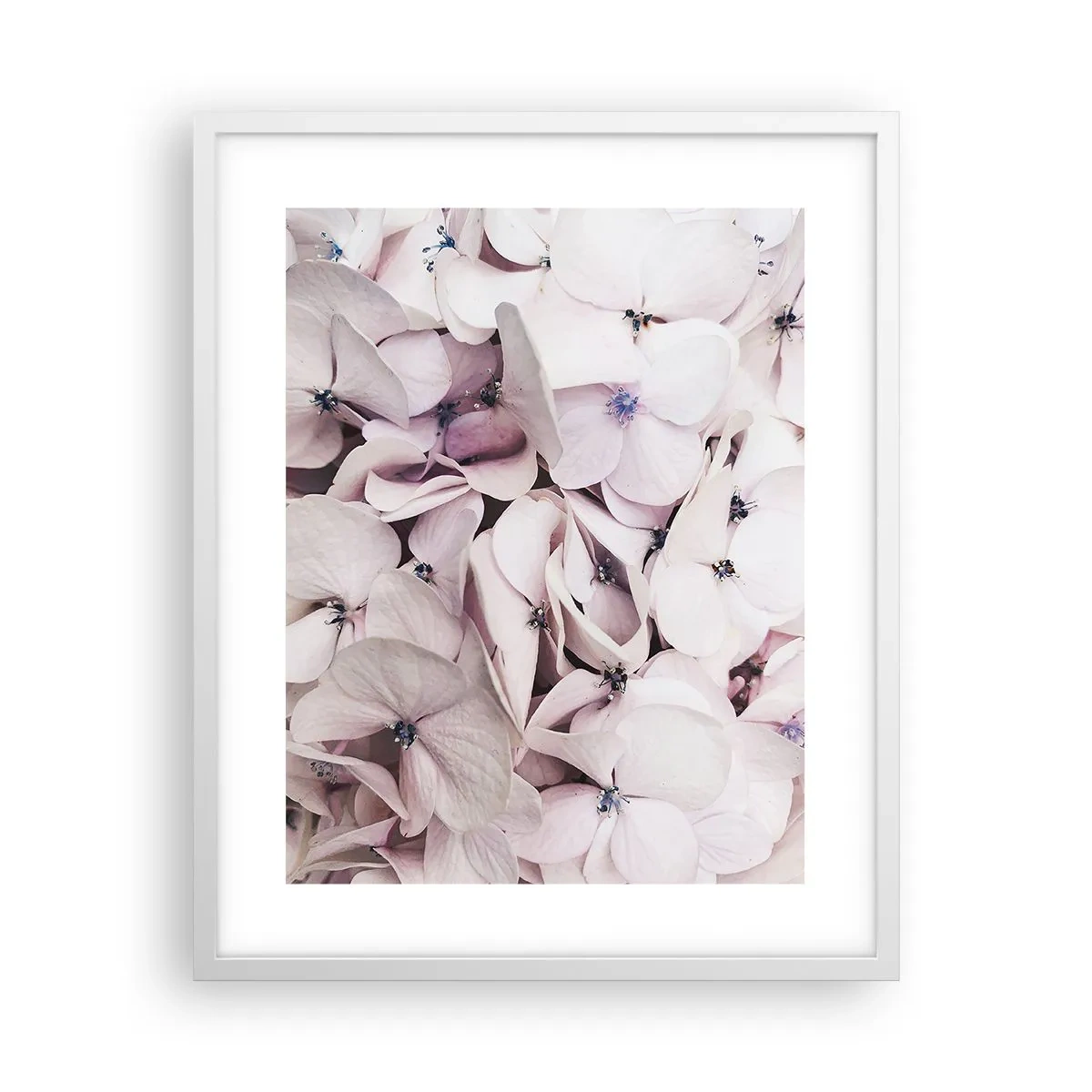 Poster în ramă albă - Într-un potop de flori - 40x50 cm