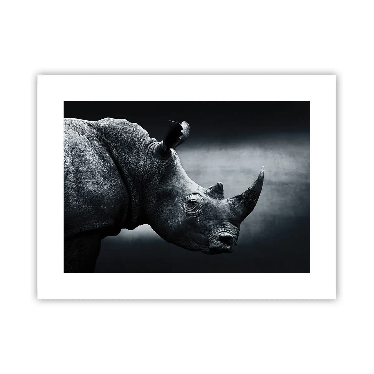 Poster - Profil drept - 40x30 cm
