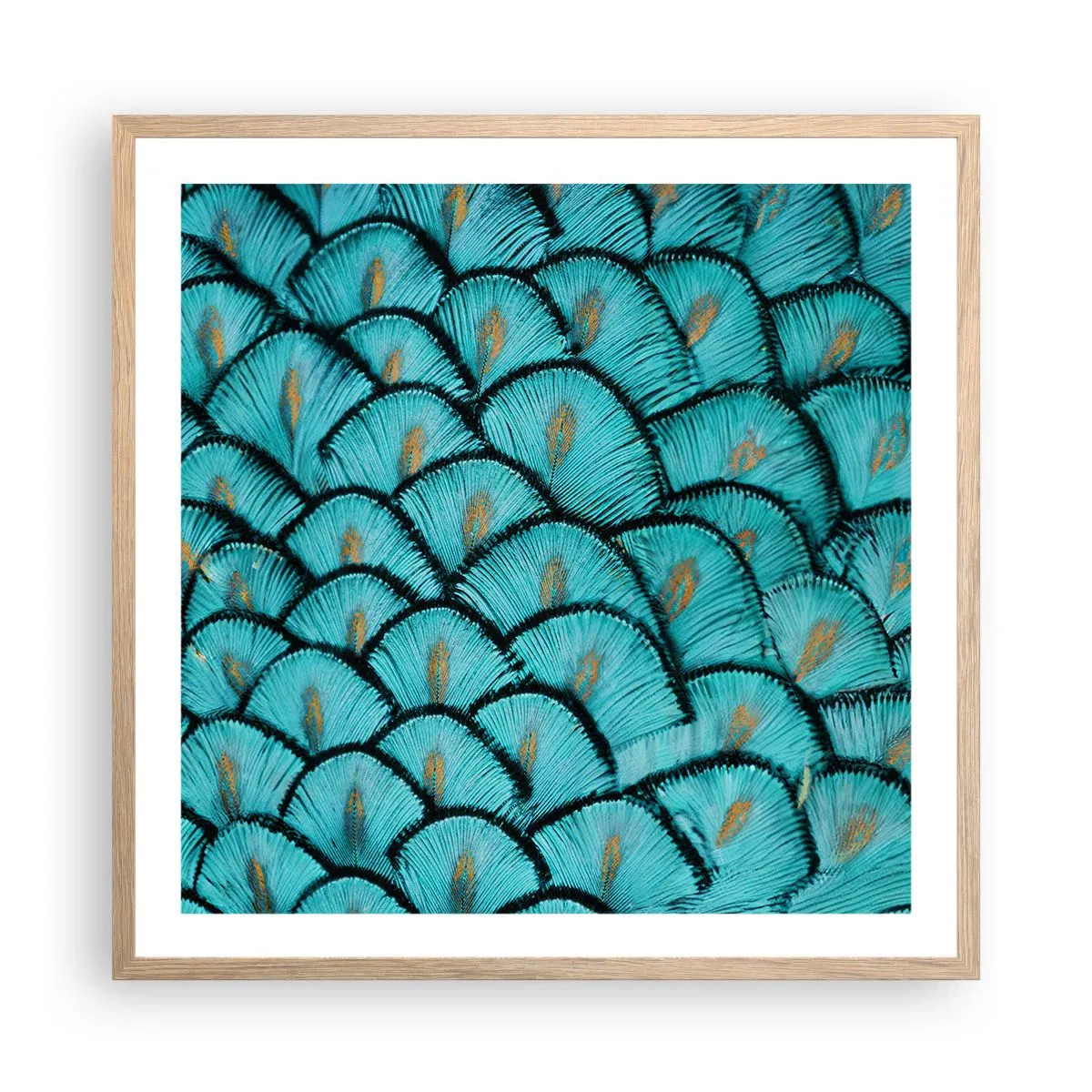 Poster în ramă de stejar deschis - Marea gală a penelor - 60x60 cm