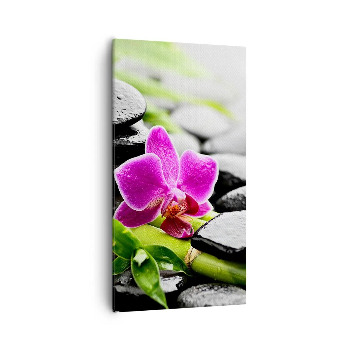 Tablou pe pânză - Într-un echilibru pașnic - 55x100 cm