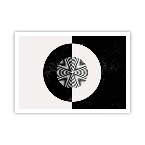 Poster - Armonie în alb și negru - 100x70 cm