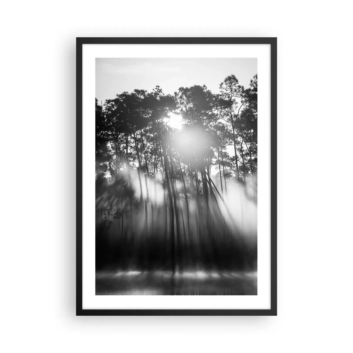 Poster în ramă neagră - Scenă de pădure alb-negru cu raze de soare în ceață - 50x70cm - Soare de neoprit - Decorațiune modernă pentru perete pentru living și dormitor ARTTOR