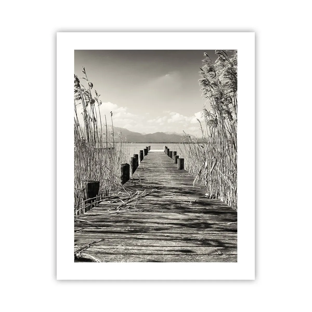 Poster - În intimitatea ierburilor - 40x50 cm