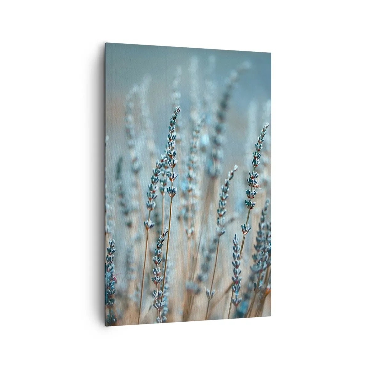 Tablou pe pânză - Câmpul parfumat - 80x120 cm