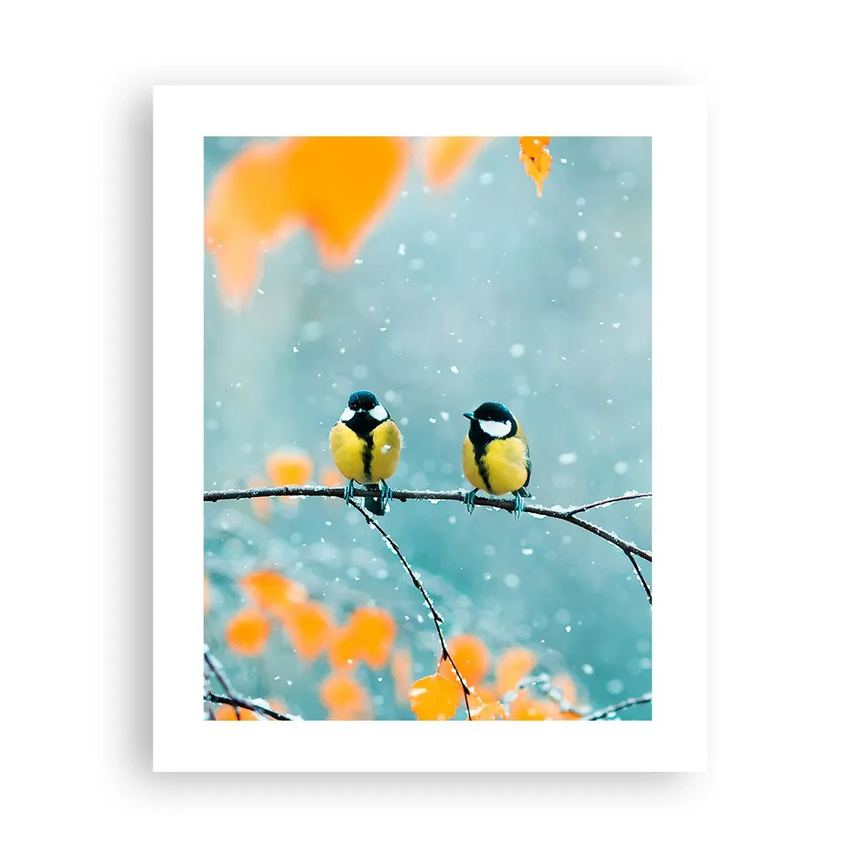 Poster - Bârfele păsărilor - 40x50 cm