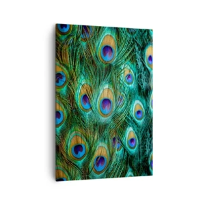 Tablou pe pânză - O privire cu ochi de păun - 70x100 cm