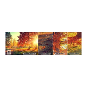 Mostră tapet Premium Sand - Roșcatul este frumos - Peisaj, Parc, Natură - 100x30 cm