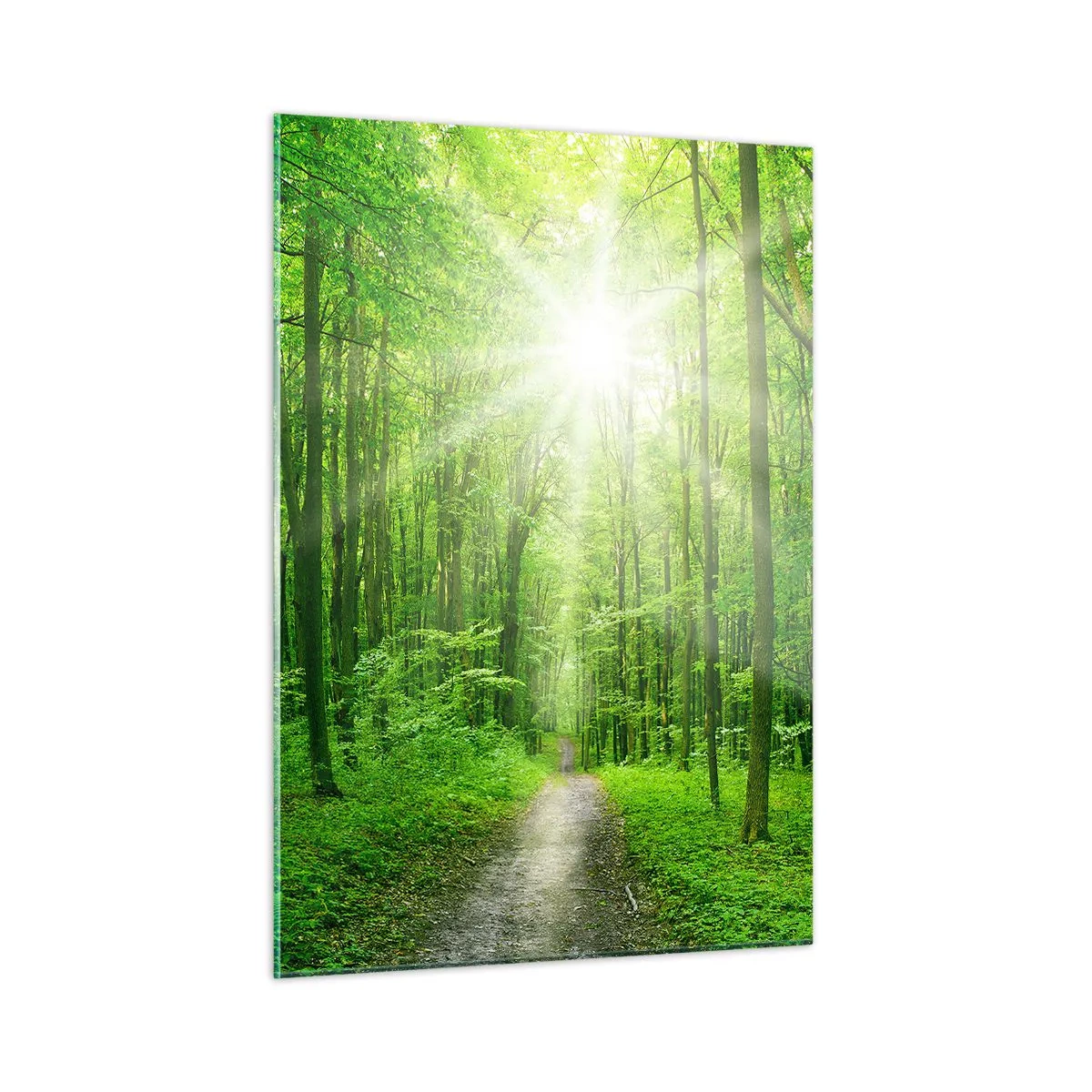 Tablou pe sticlă - Catedrala verde - 50x70 cm
