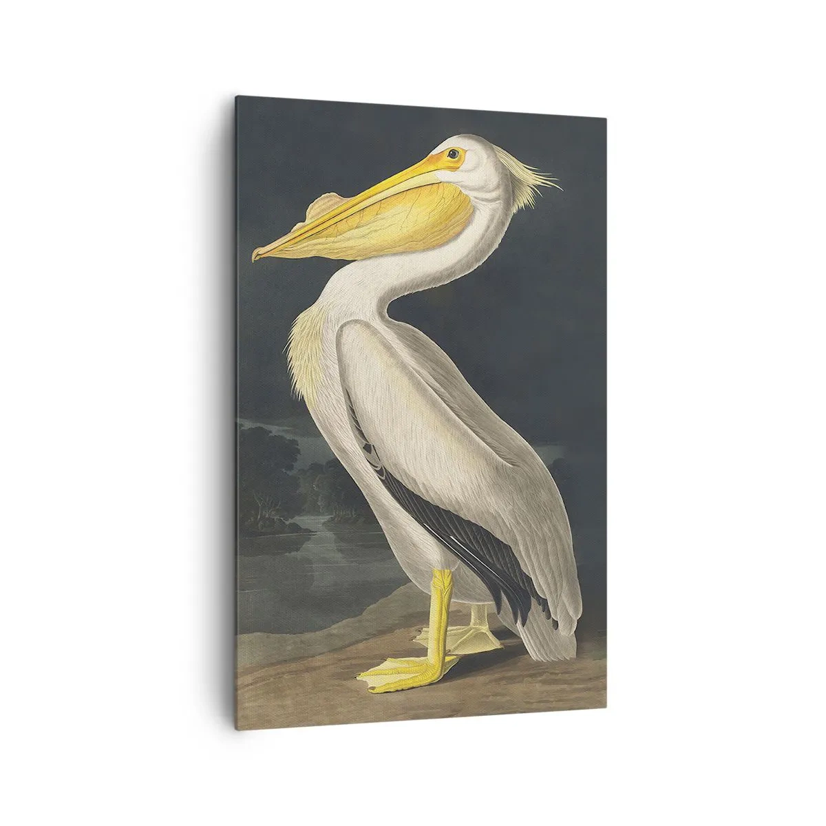 Tablou pe pânză Canvas - Plin de mândrie - 80x120 cm