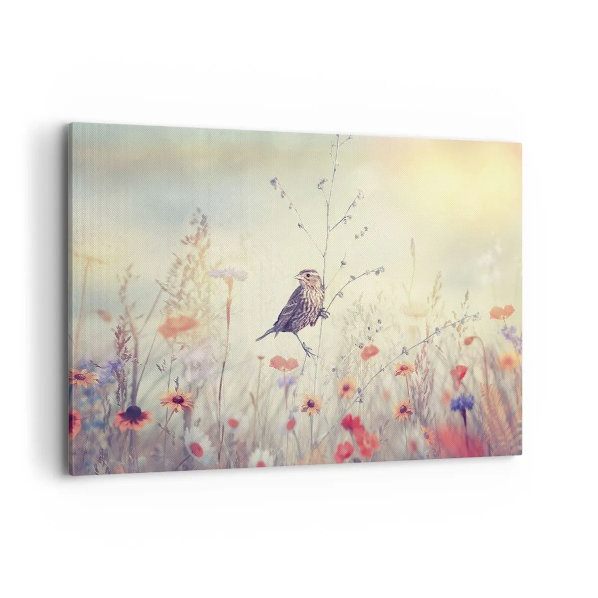Tablou pe pânză - Portret de pasăre cu o pajiște în fundal - 100x70 cm