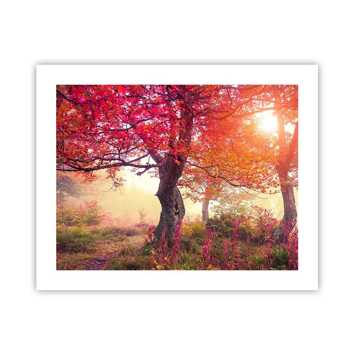Poster - O frenezie de înflorire - 50x40 cm