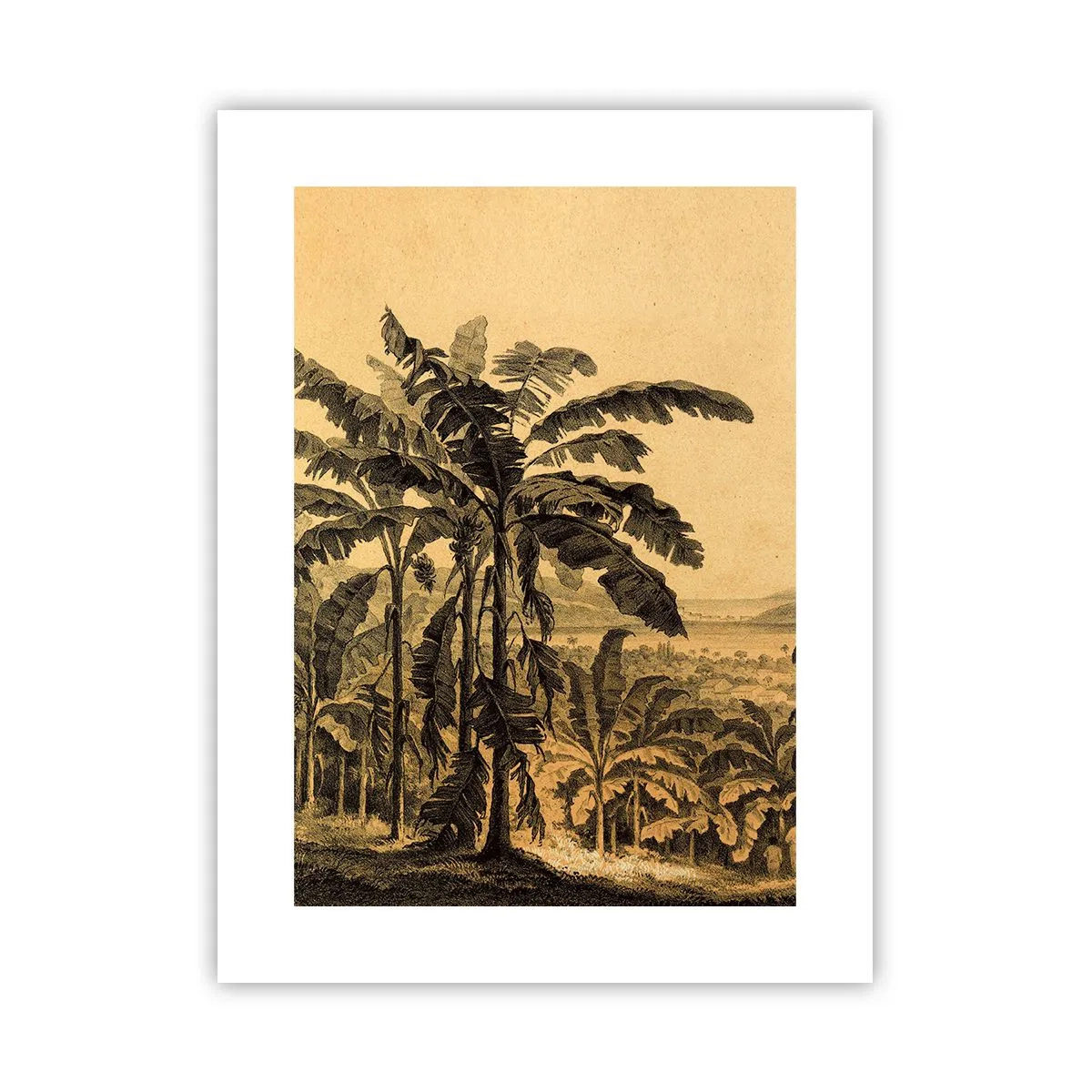 Poster - În stil colonial - 30x40 cm