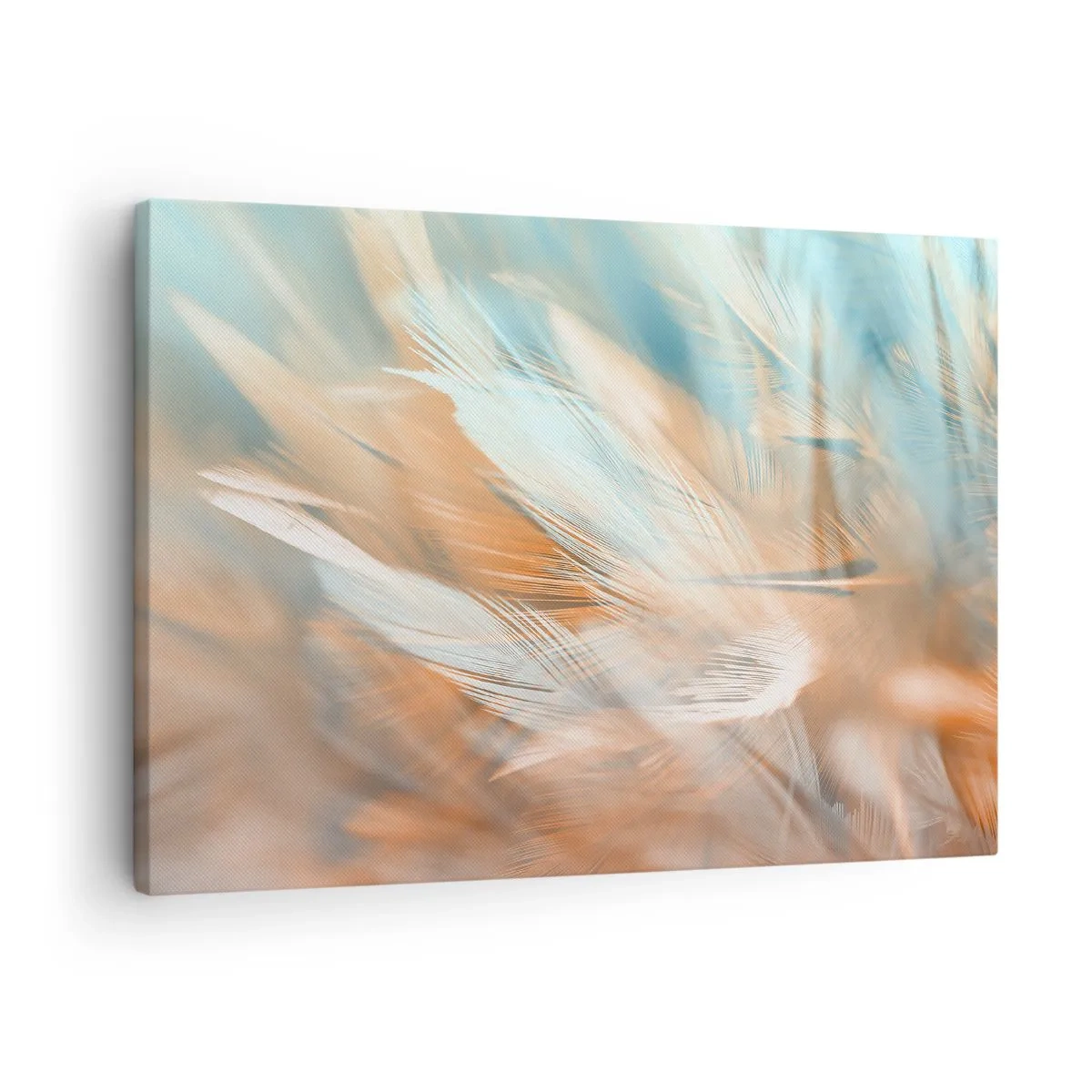 Tablou pe pânză Canvas - Pene delicate în nuanțe pastelate de albastru și portocaliu - 70x50cm - În țara blândeții - Decorațiune modernă pentru perete pentru living și dormitor ARTTOR