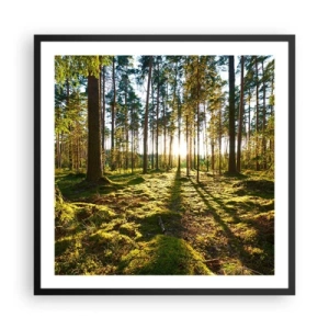 Poster în ramă neagră - Pădurea misterioasă - 60x60 cm