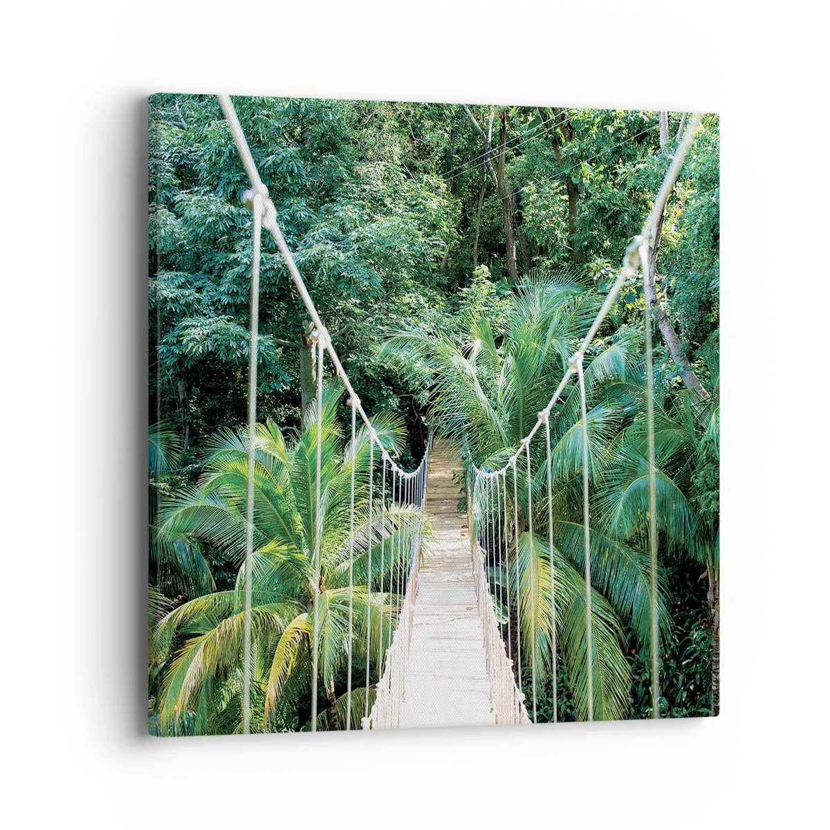 Tablou pe pânză - Welcome to the jungle! - 40x40 cm