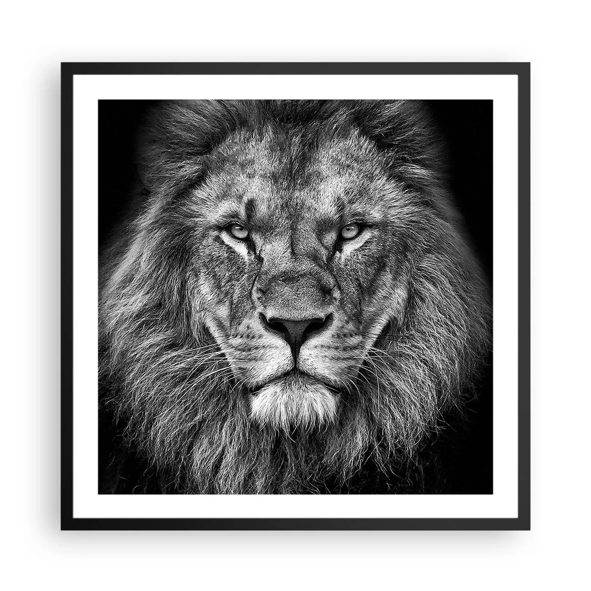 Poster în ramă neagră - În ținuta de încoronare - 60x60 cm