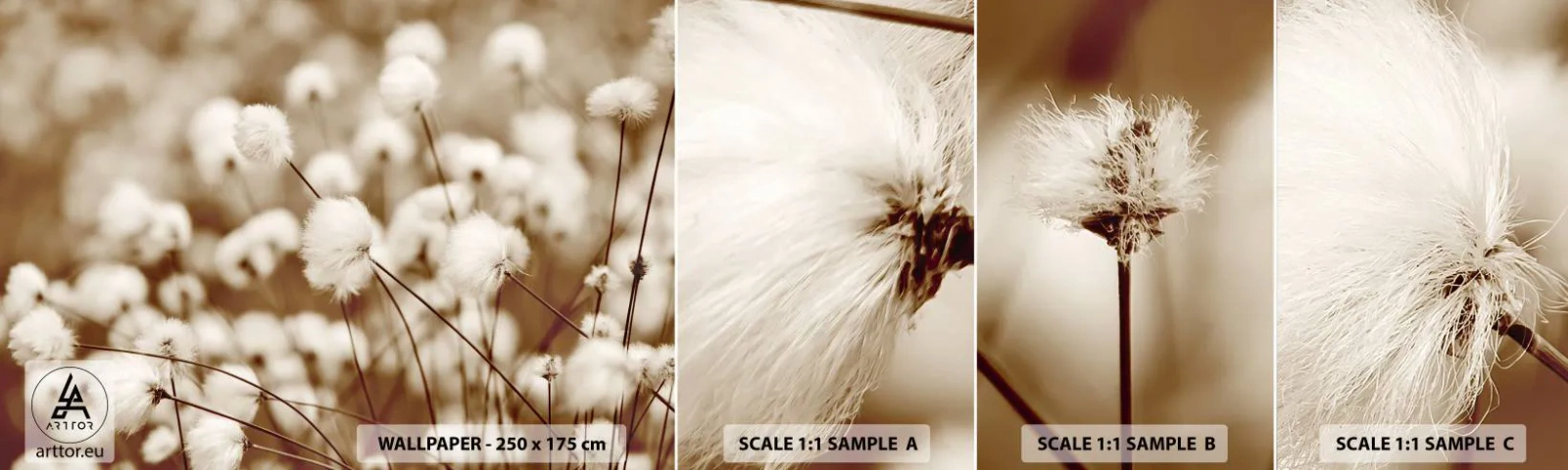 Mostră tapet autocolant Deluxe Sticker - Câmp pufos - Floare de bumbac, Floare, Crenguta de bumbac - 100x30 cm