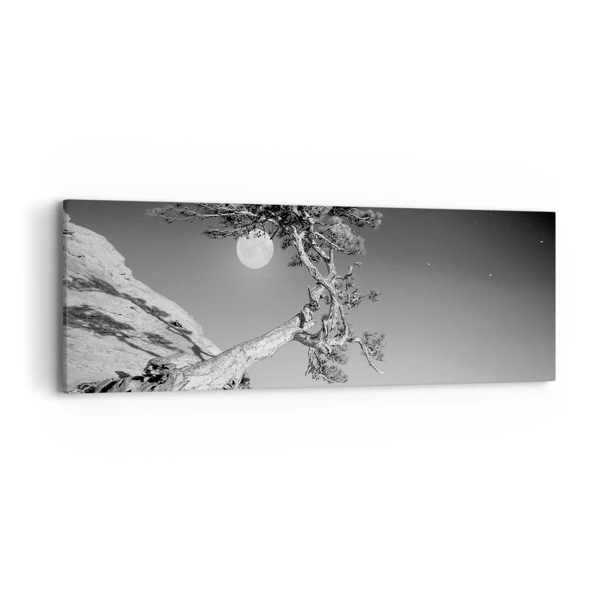 Tablou pe pânză - Războinicul victorios - 90x30 cm