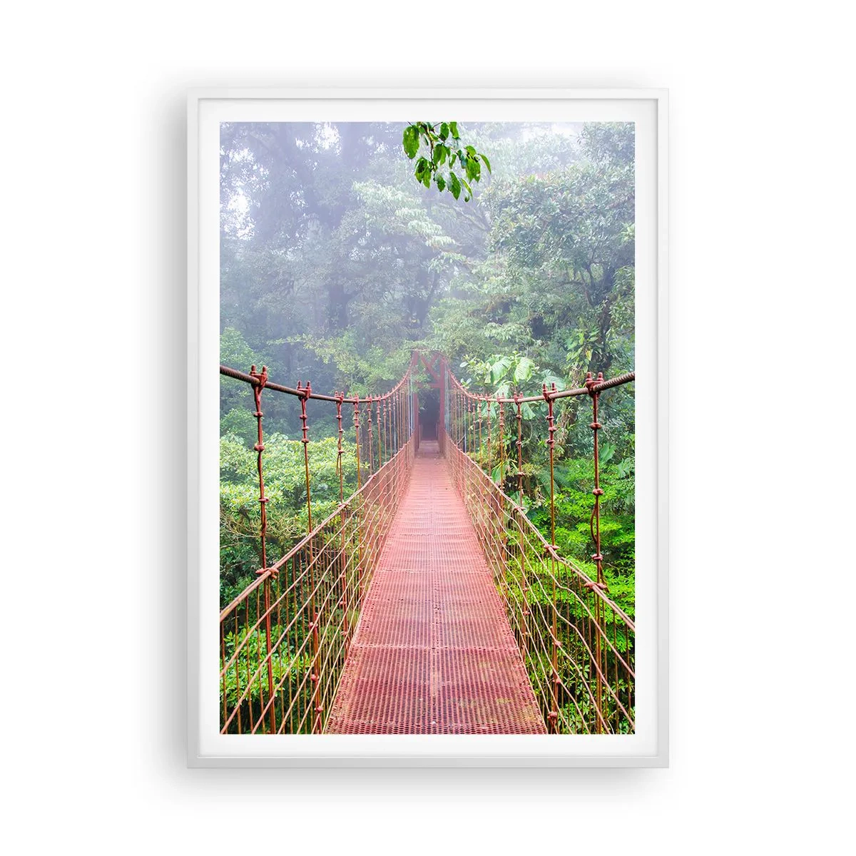 Poster în ramă albă - Suspendat deasupra coroanelor arborilor - 70x100 cm