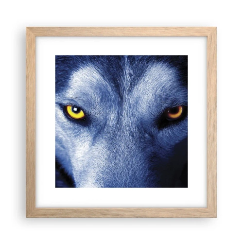 Poster în ramă de stejar deschis - O privire hipnotizantă - 30x30 cm