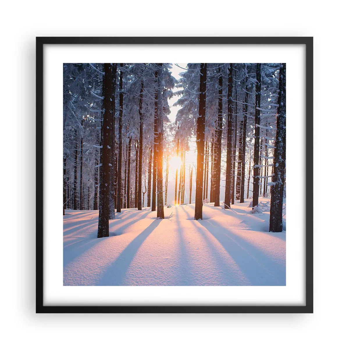 Poster în ramă neagră - În mod clar în alb și negru - 50x50 cm