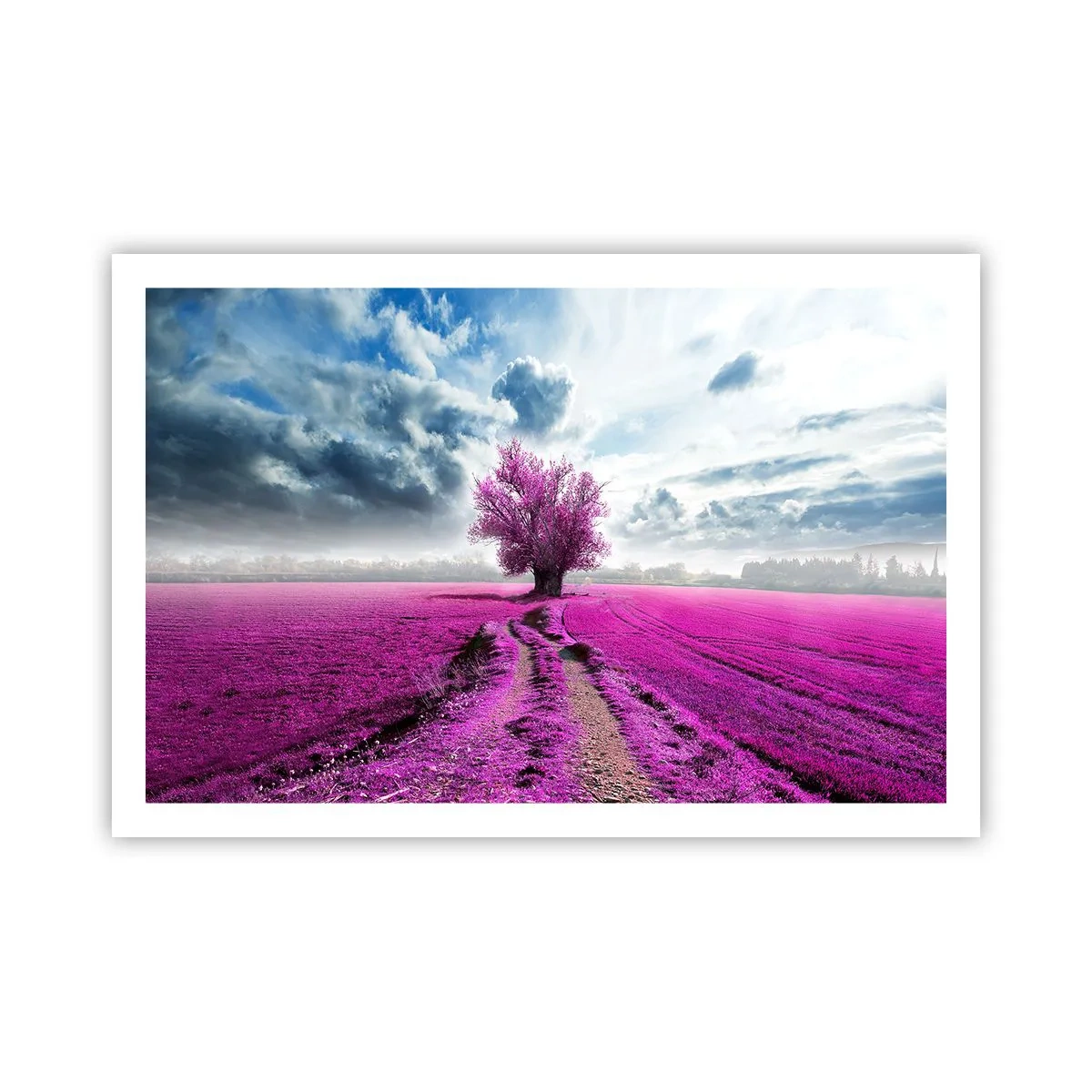 Poster - Câmpul cu iarbă neagră - 91x61 cm