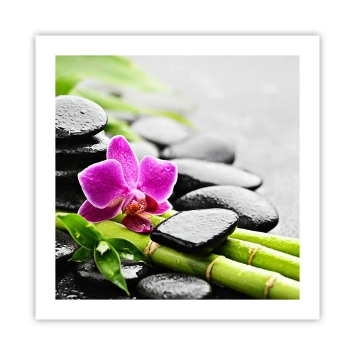 Poster - Într-un echilibru pașnic - 50x50 cm