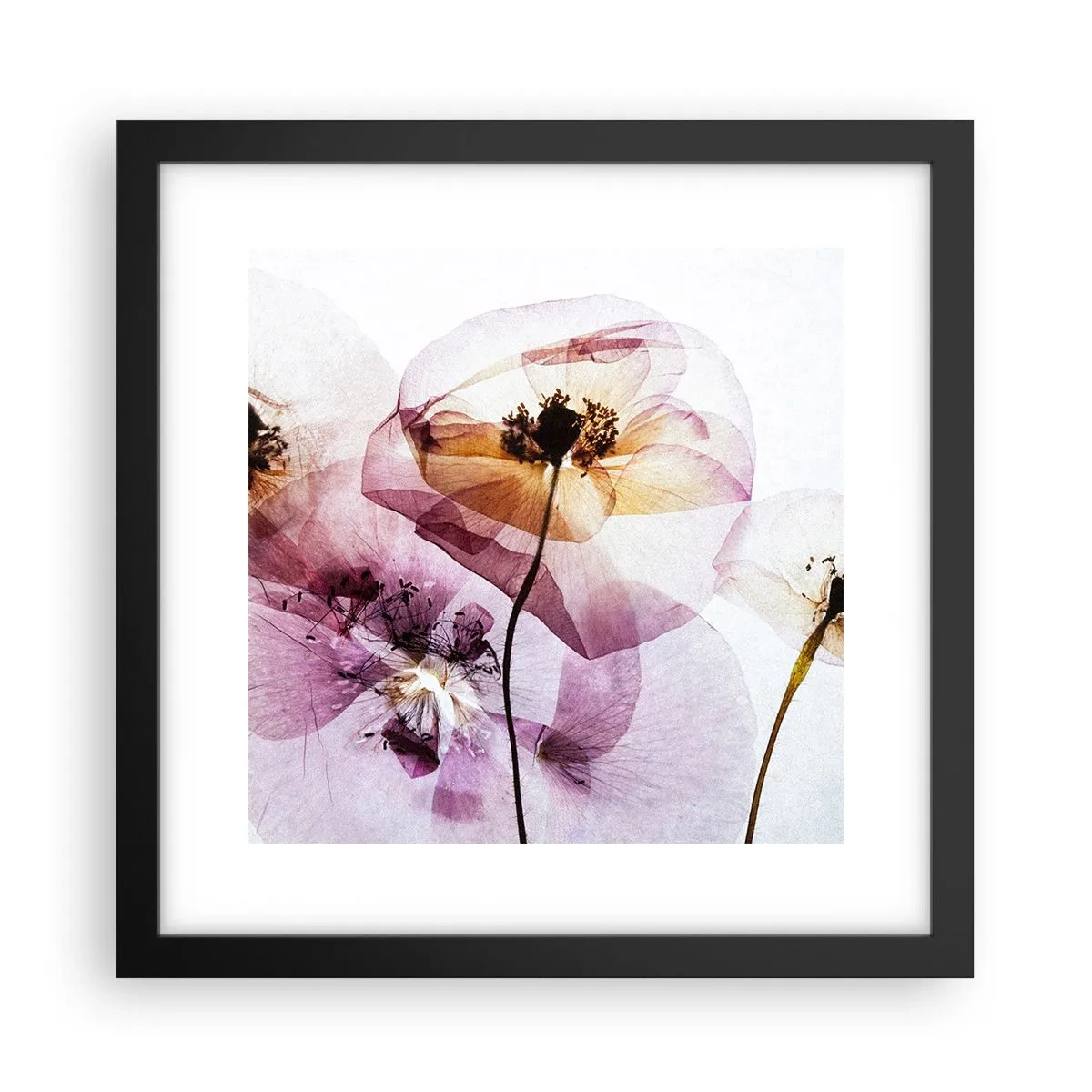 Poster în ramă neagră - Corp de flori transparente - 30x30 cm