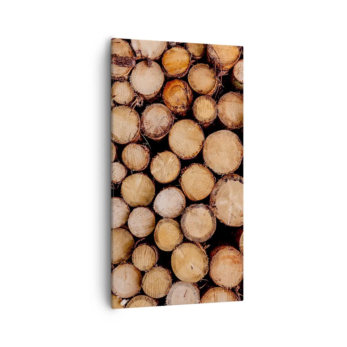 Tablou pe pânză - Un nou început - 55x100 cm