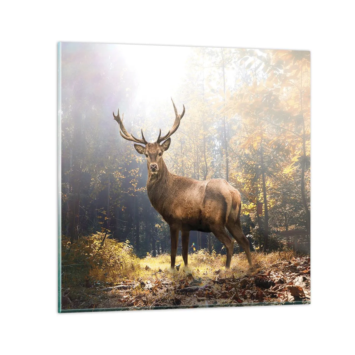 Tablou pe sticlă - Măreție calmă - 40x40 cm