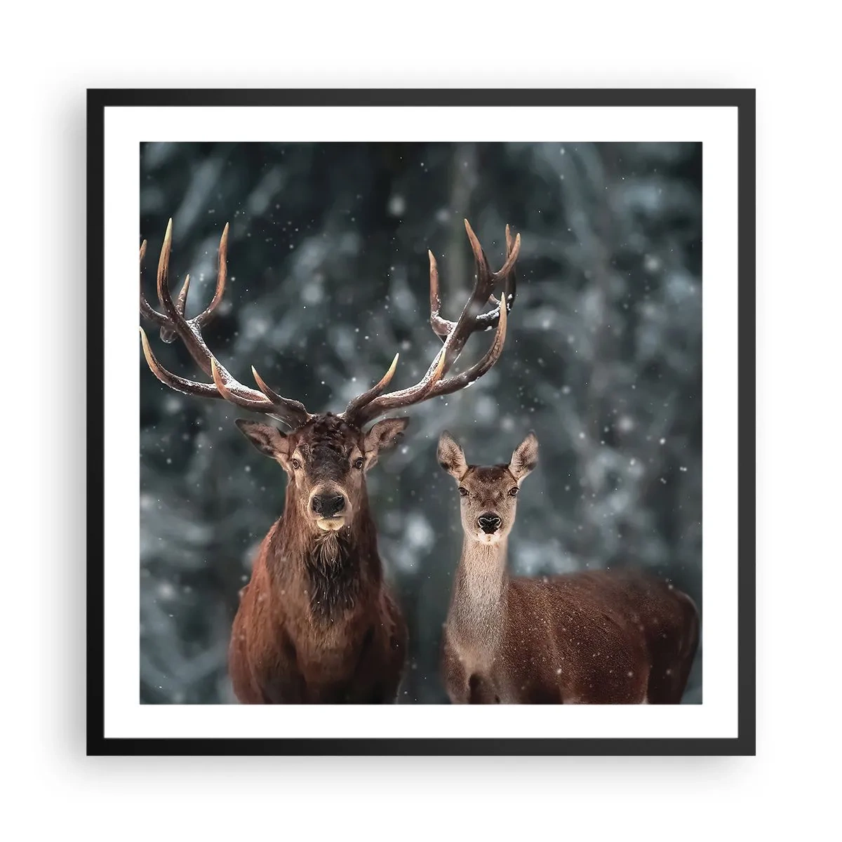 Poster în ramă neagră - Stăpânul pădurii și soția sa - 60x60 cm