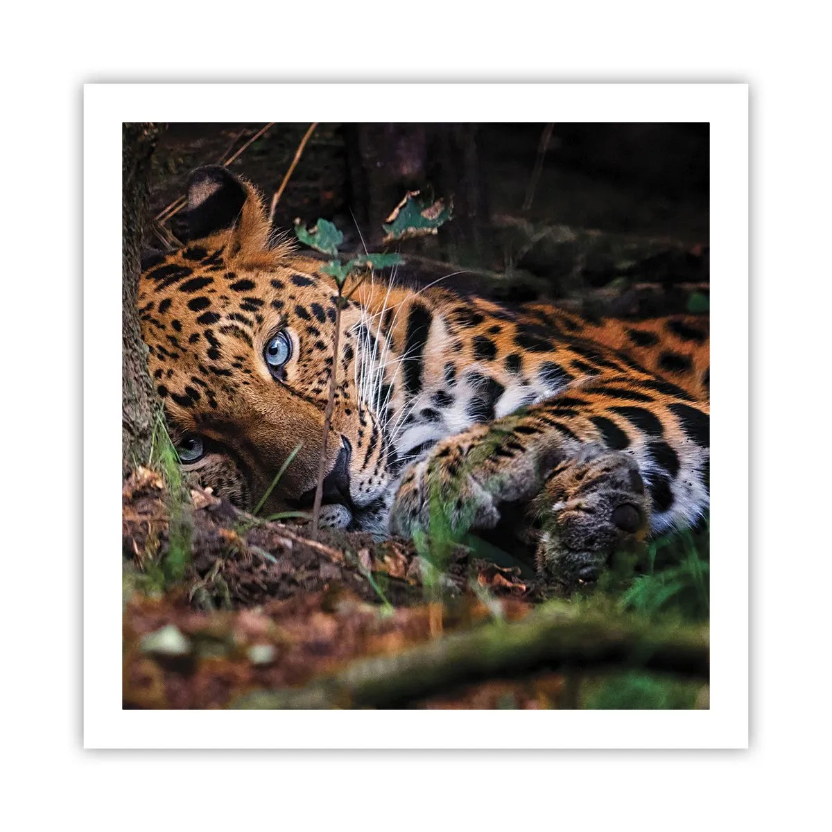 Poster - Să ai încredere în mine - 60x60 cm