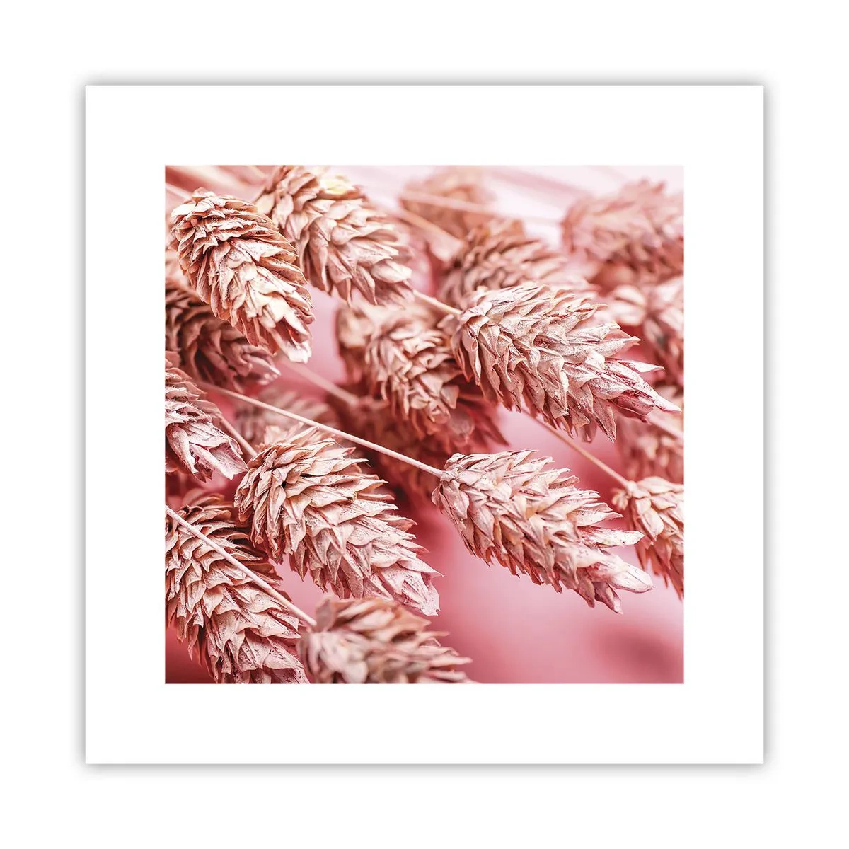 Poster - Cascadă florală în roz - 30x30 cm
